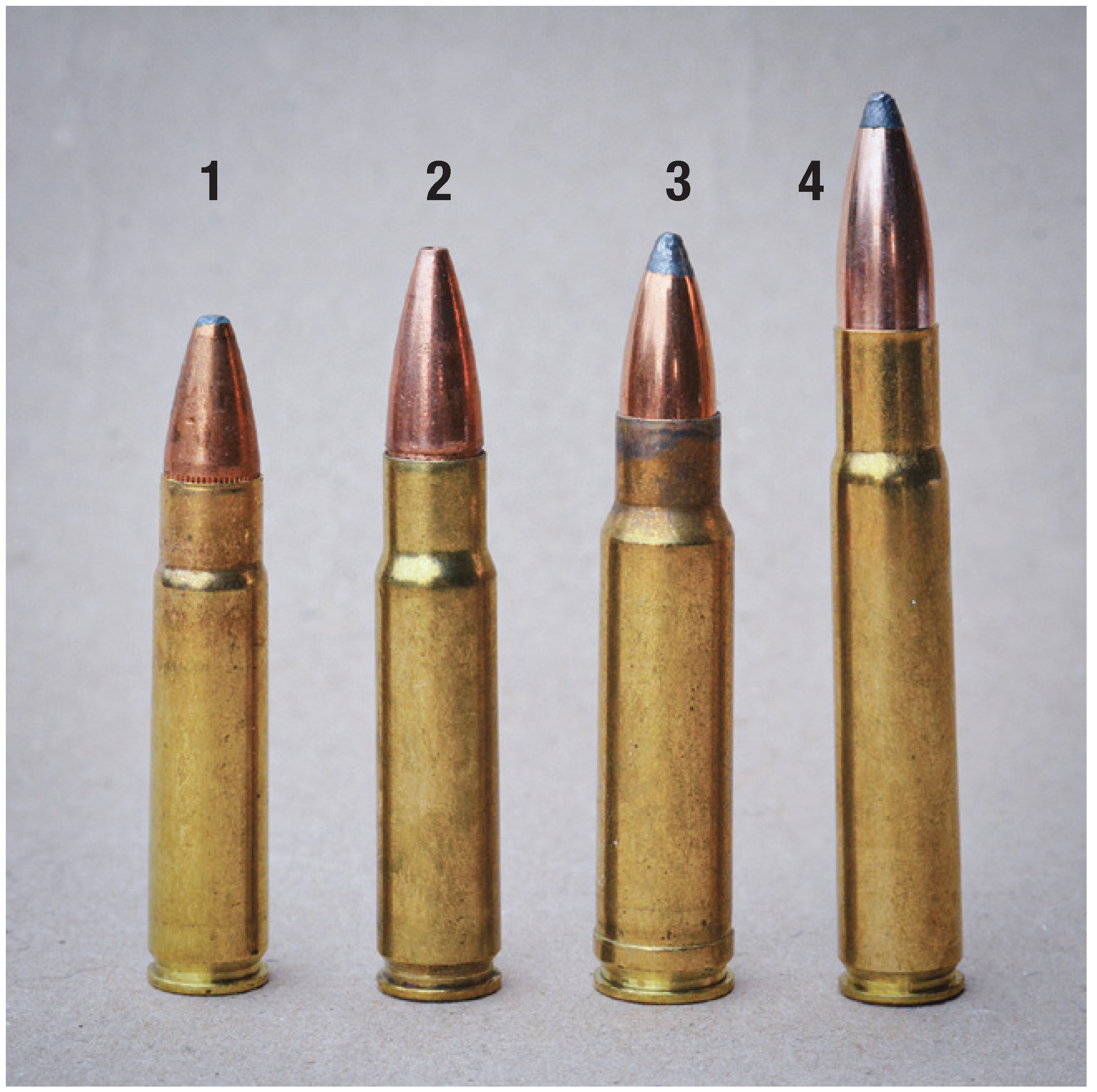 For comparison: (1) 35 Remington, (2) 358 Winchester, (3) 350 Remington Magnum and (4) 35 Whelen.